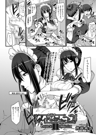 メイドのおしごと。ＩＩ