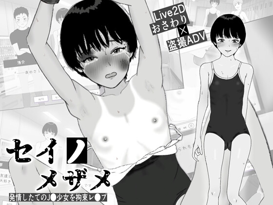 セイノメザメ