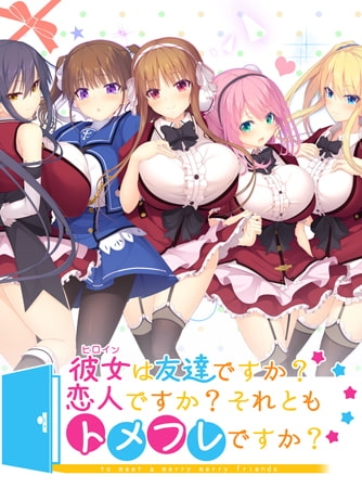【Android版】彼女は友達ですか？恋人ですか？それともトメフレですか？