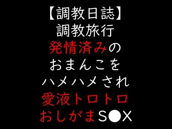 調教旅行 発情済みのおまんこをハメハメされ愛液トロトロおしがまS●X